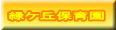 緑ケ丘保育園