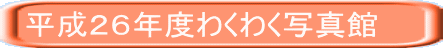 QUNx킭킭ʐ^