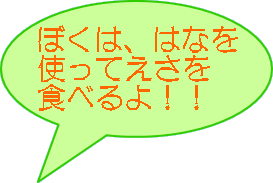 ぼくは、はなを 使ってえさを 食べるよ！！