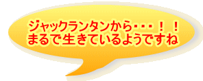 WbN^EEEII ܂ŐĂ悤ł 