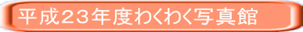 QRNx킭킭ʐ^