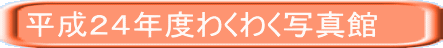 QSNx킭킭ʐ^