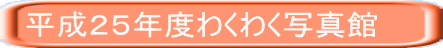 QTNx킭킭ʐ^